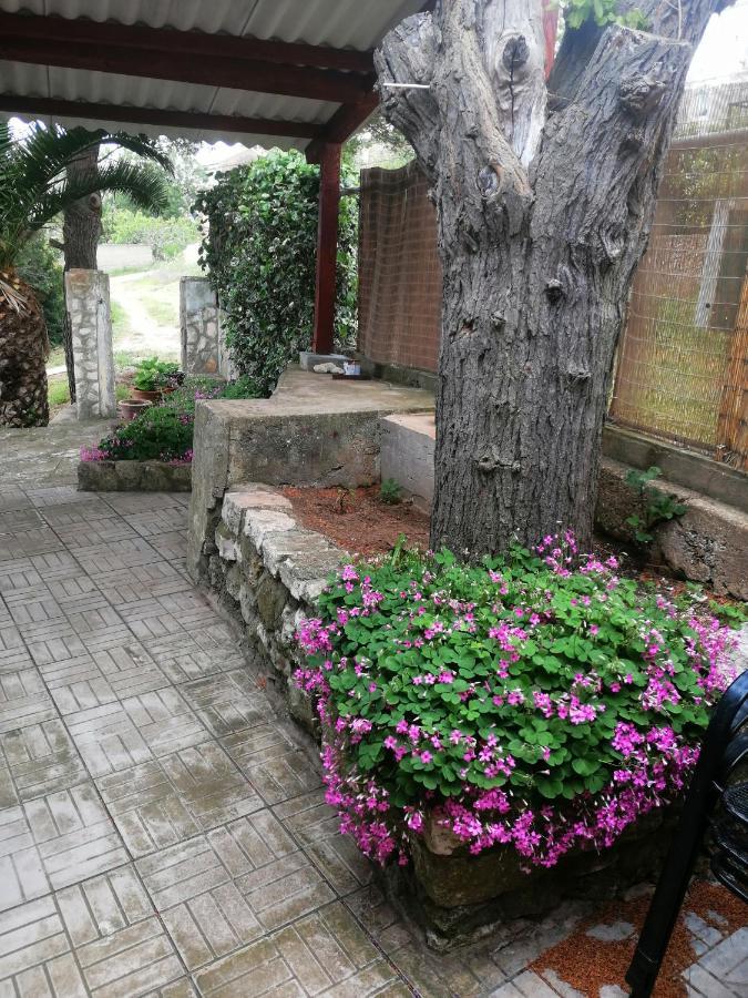 Apartments Elena & Damir ヴィス エクステリア 写真